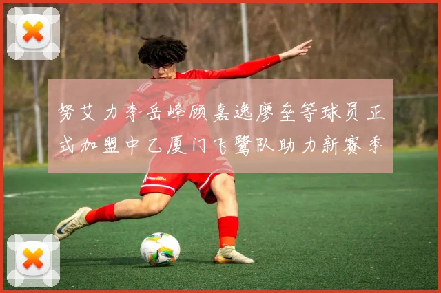 努艾力李岳峰顾嘉逸廖垒等球员正式加盟中乙厦门飞鹭队助力新赛季