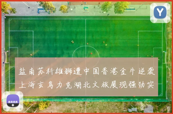 盐南苏科雄狮遭中国香港金牛逆袭上海玄鸟力克湖北文旅展现强劲实力