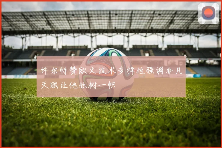 许尔特赞欧文技术多样性强调非凡天赋让他独树一帜