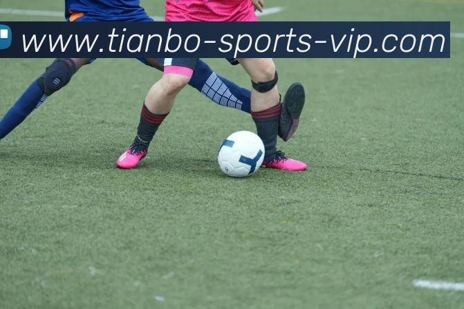 天博体育服务体系